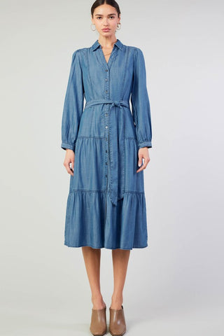 The Petra Chambery Dress