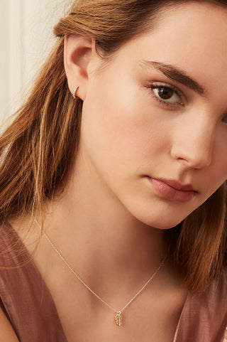 Wings Necklace - Silver And Gold Plated