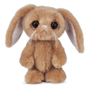 Billy Big Head The Bunny