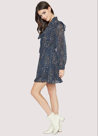 Valerie Star Mini Dress