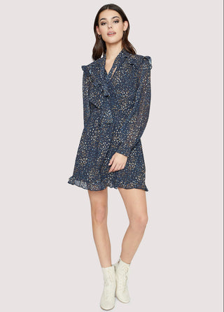 Valerie Star Mini Dress
